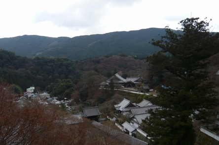 f0221708_1174794.jpg