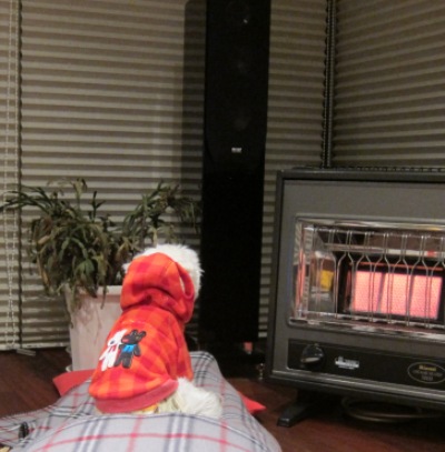e0056411_0125891.jpg