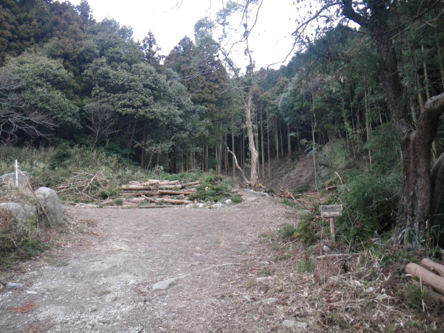 d0006512_2140568.jpg