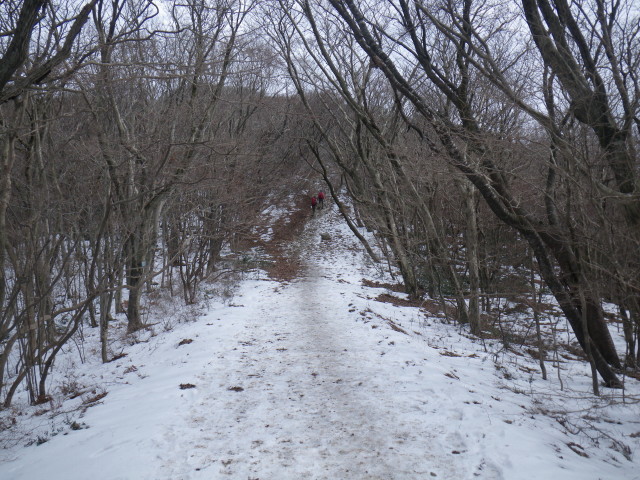 d0006512_21421984.jpg