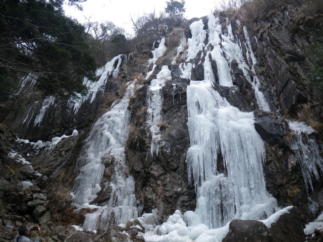 d0006512_21444450.jpg
