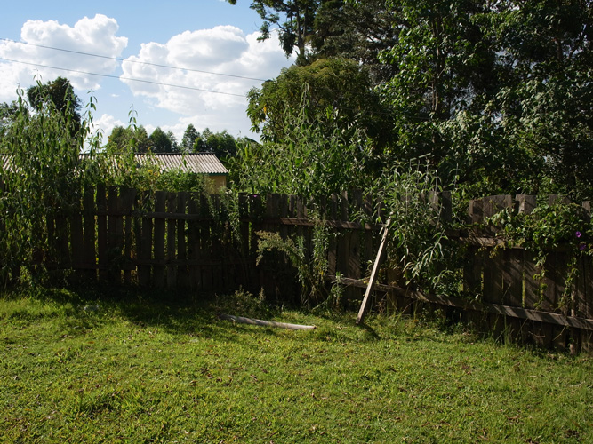 f0213817_196148.jpg