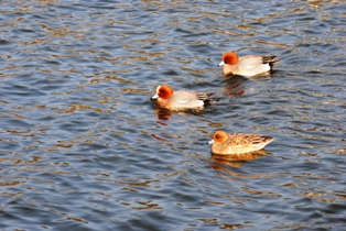 b0209919_914374.jpg