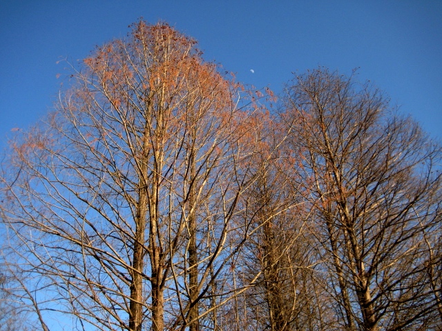 b0209919_981592.jpg