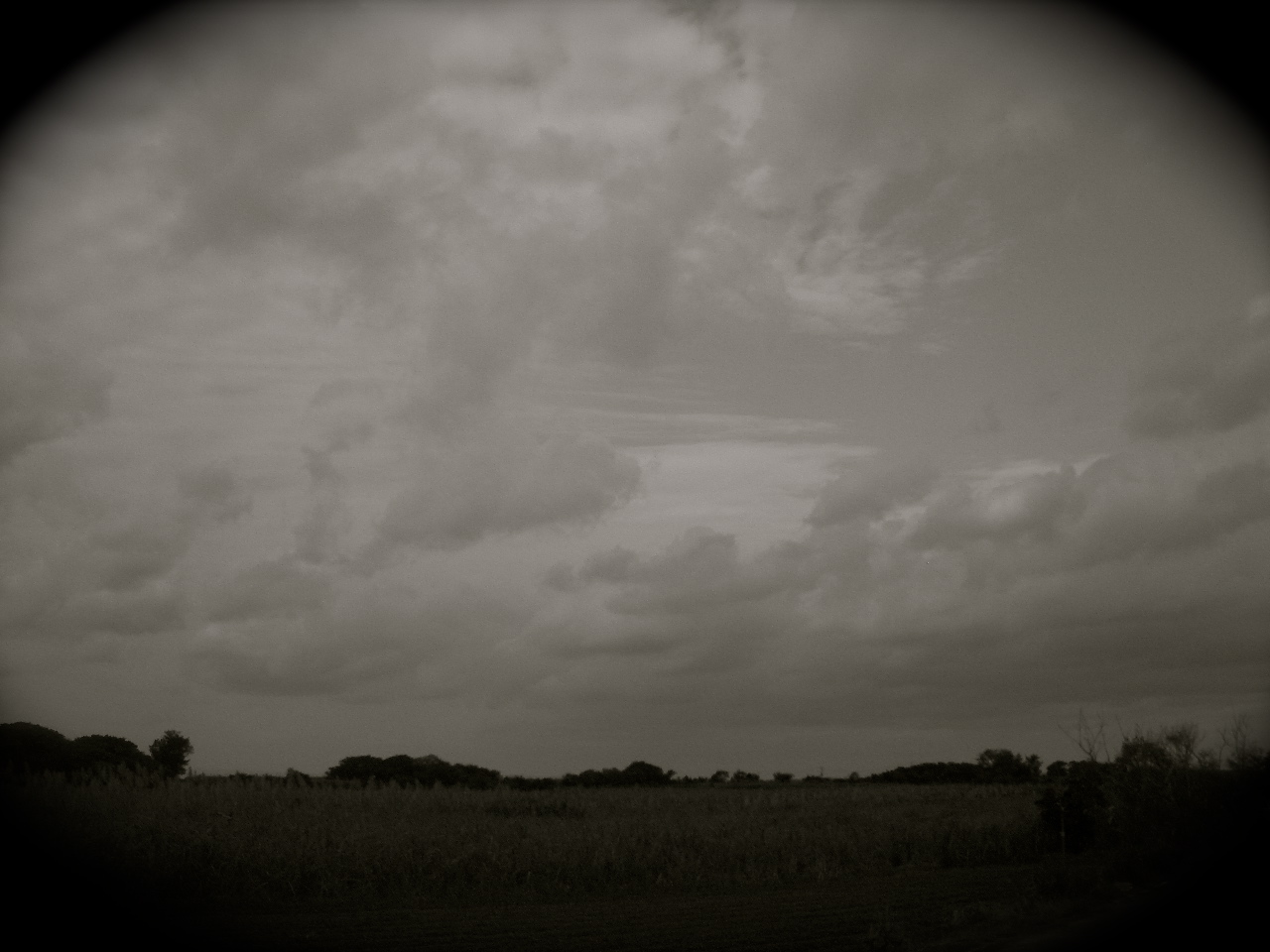 f0197325_21324027.jpg