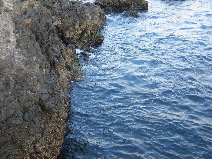 f0103126_8335045.jpg