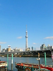 d0139827_13402237.jpg