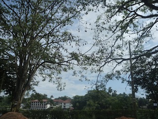 e0204830_23435065.jpg