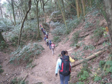 c0077338_20205272.jpg