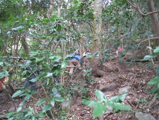 c0077338_20211174.jpg