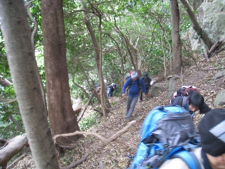 c0077338_2021282.jpg