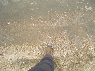 c0077338_20223582.jpg