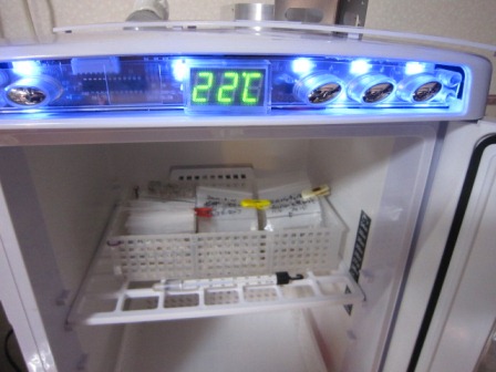 c0025140_0144989.jpg