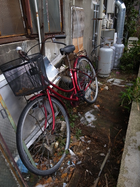 a0087341_2238420.jpg
