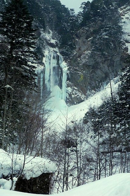 b0122448_10383684.jpg