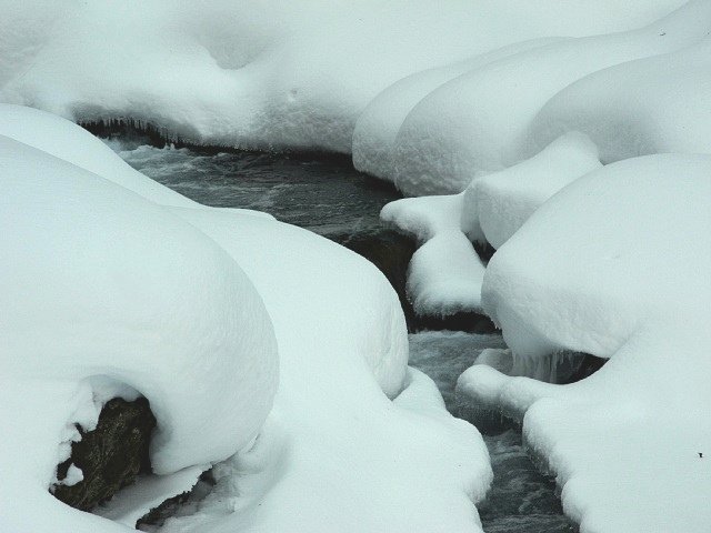 b0122448_10461777.jpg