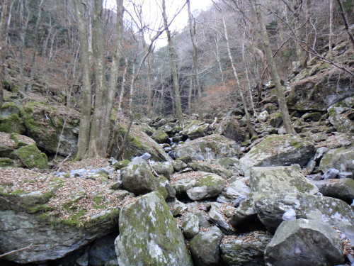 c0179351_16211095.jpg