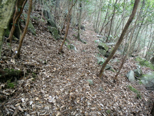 c0179351_16272336.jpg