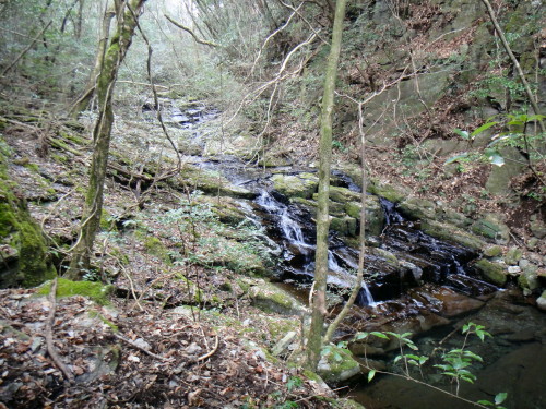 c0179351_16303025.jpg