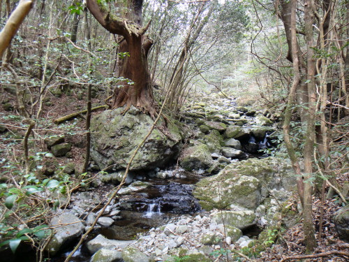 c0179351_16312938.jpg