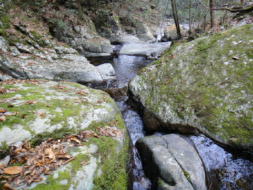 c0179351_1631579.jpg