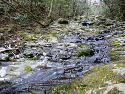 c0179351_16344588.jpg