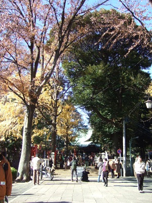 e0225164_10385342.jpg
