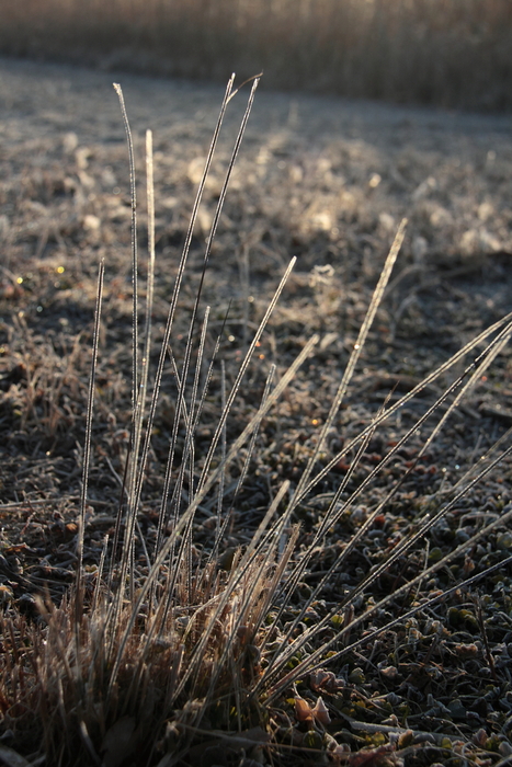 e0249878_0161143.jpg