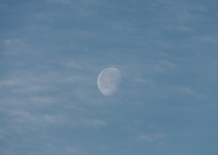 e0249878_0293628.jpg