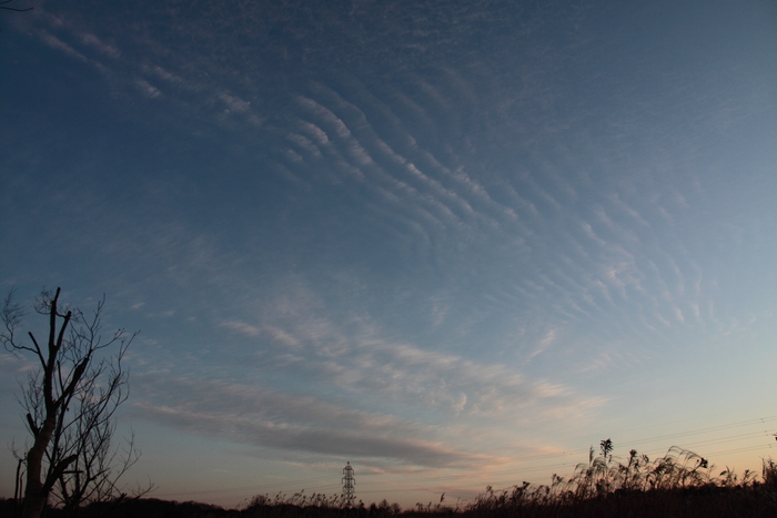 e0249878_041370.jpg