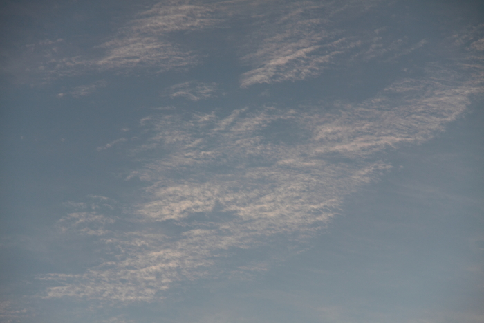 e0249878_08916.jpg