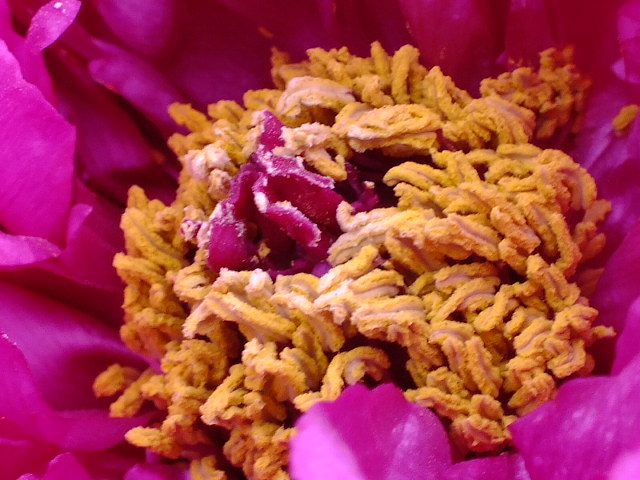 e0145782_19241341.jpg