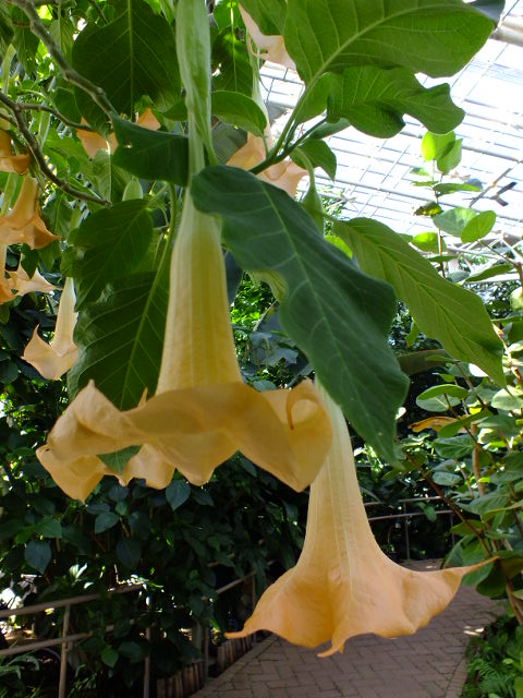 e0145782_1926384.jpg