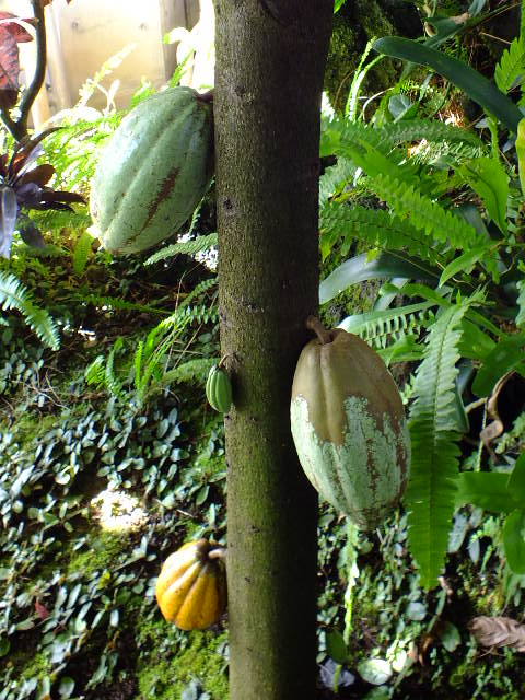 e0145782_192696.jpg