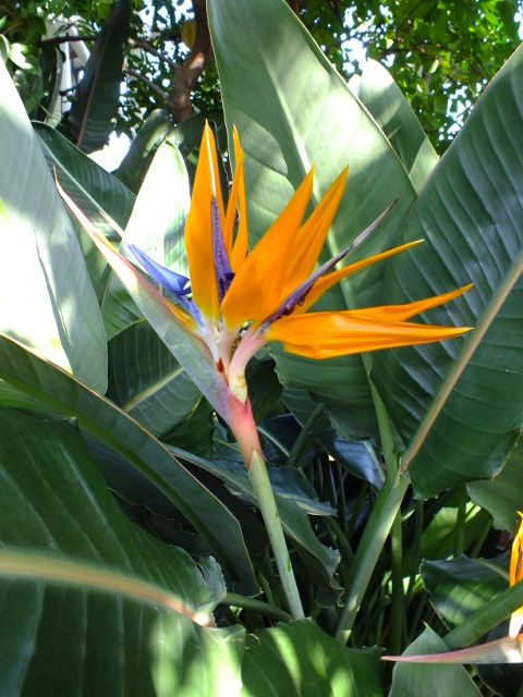 e0145782_1927539.jpg