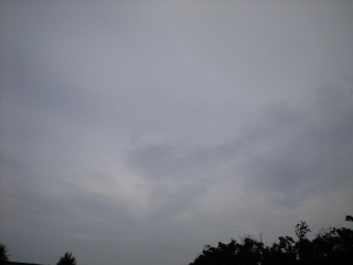 d0240983_20142943.jpg