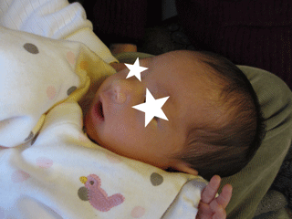f0110488_033510.gif