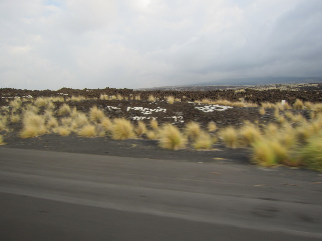 d0098295_23395863.jpg