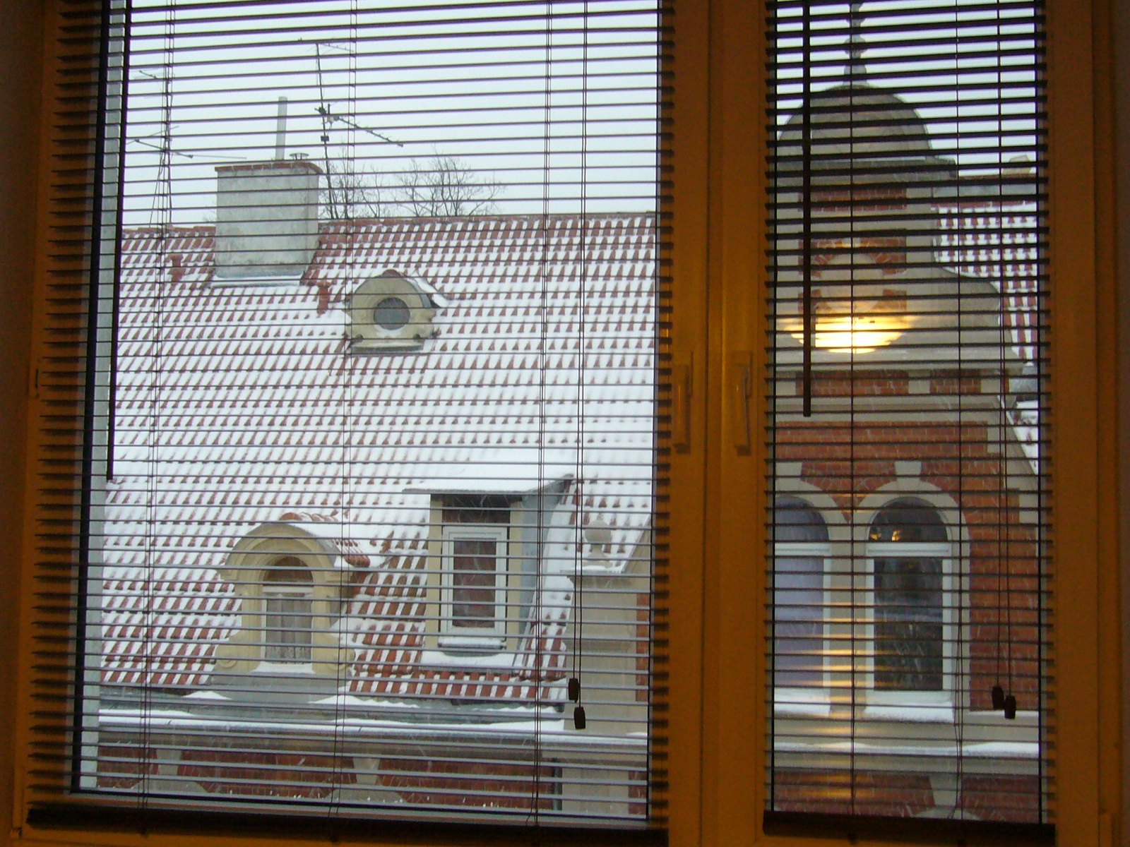 f0169397_028725.jpg