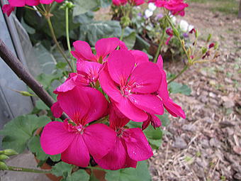 b0028299_21575177.jpg