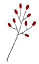 f0083400_1413234.gif