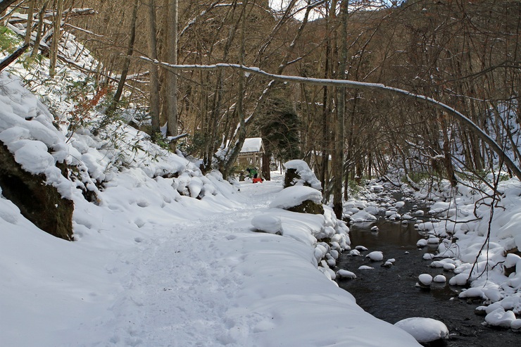 f0034602_19482166.jpg