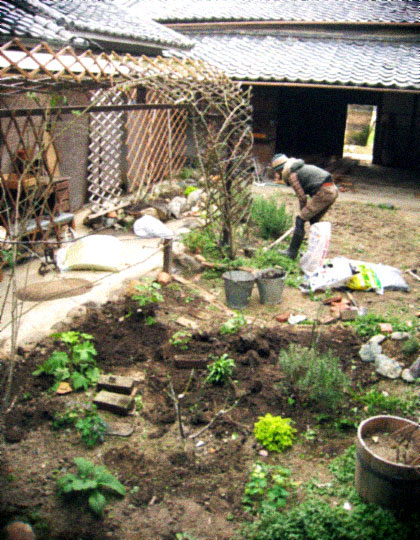 d0077603_936832.jpg