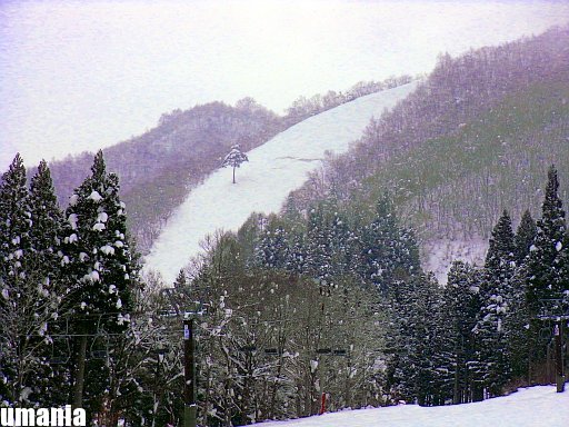 b0061004_22574412.jpg