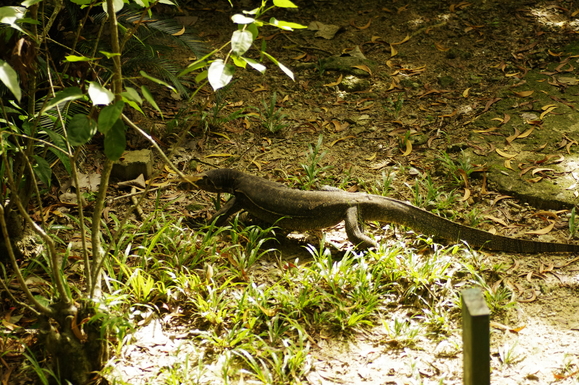 e0142611_23373410.jpg