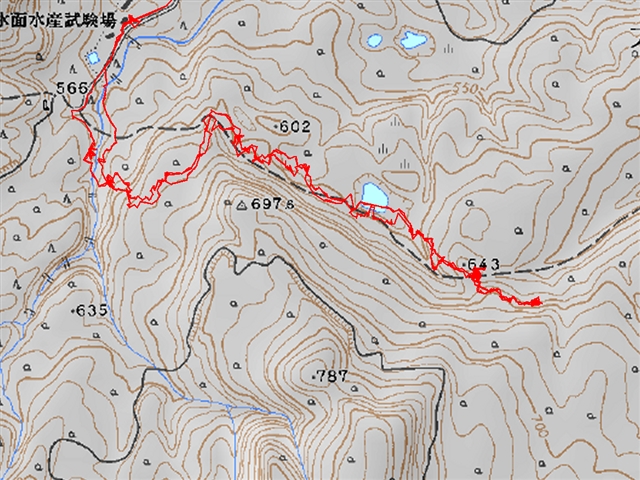 a0127015_19465349.jpg