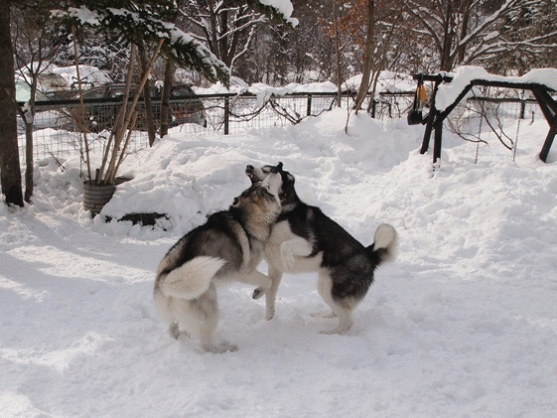 b0207615_224927100.gif