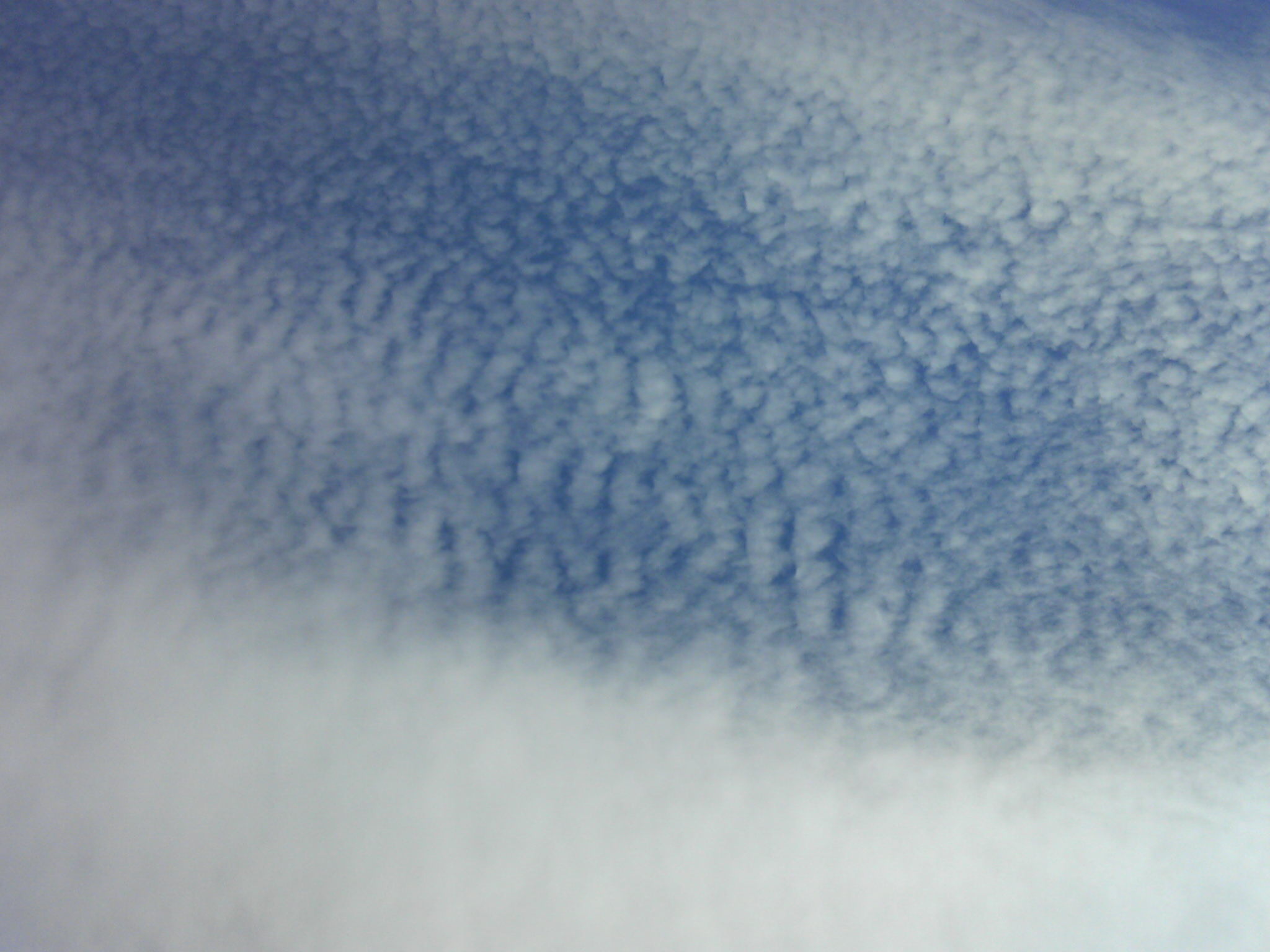 e0126218_2241118.jpg