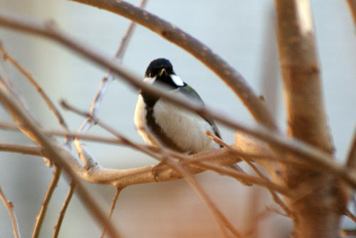 c0184125_20242028.jpg