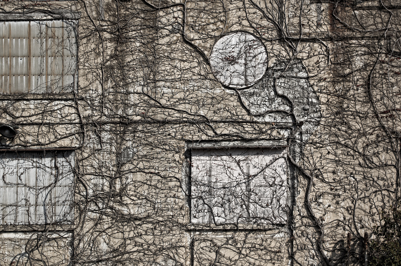c0216331_6344134.jpg